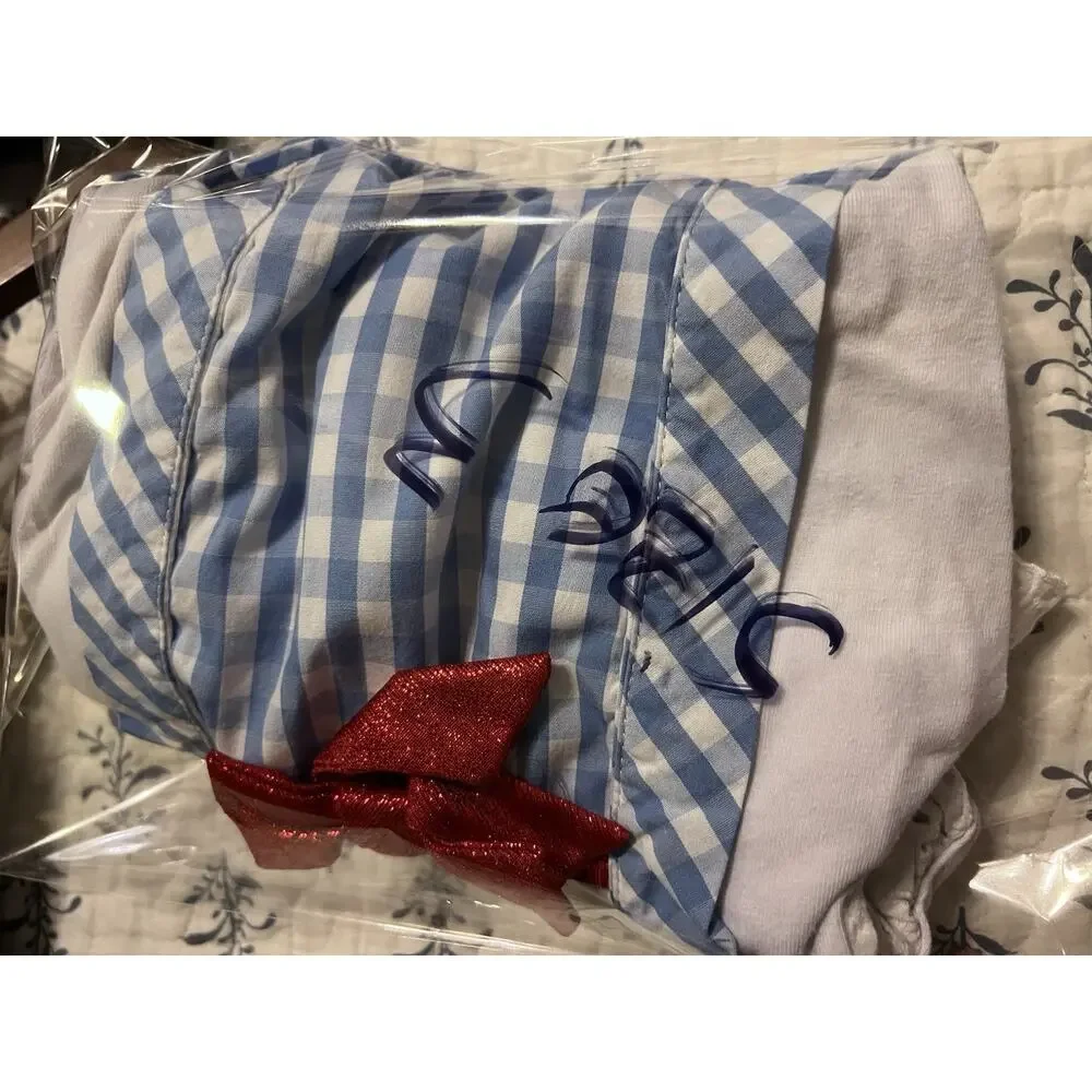 Wizard of Oz Dorothy Dress Child’s Small Costume Homemade Halloween Sz 3T